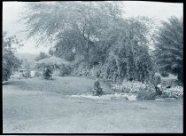 Three priests near thatched shelter, Moanalua Gardens, Oahu.